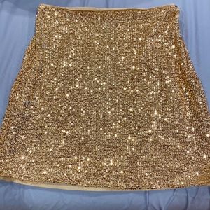 Banana Republic Sequin Skirt